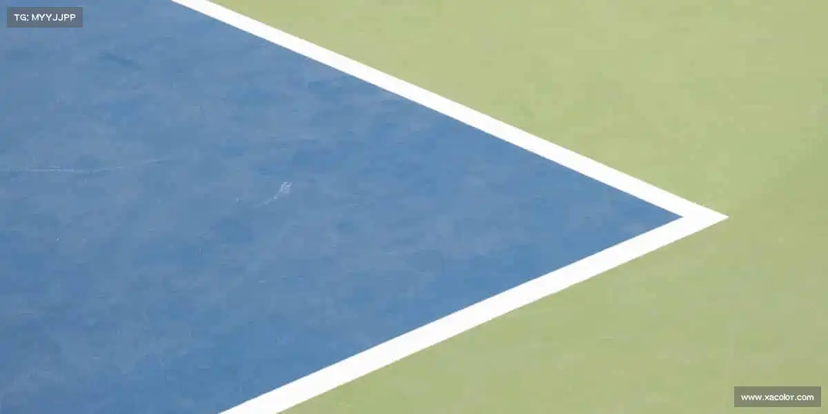 <strong>OD体育</strong>赛场如人生，敢拼才会赢！🏅